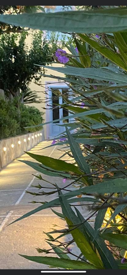 Bed and Breakfast Palazzo Bonaventura 1906 Forio di Ischia Exterior foto